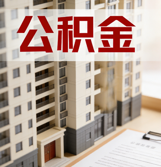 秦皇岛公积金代办行业新生态：从“跑腿中介”到“生活管家”的进化之路